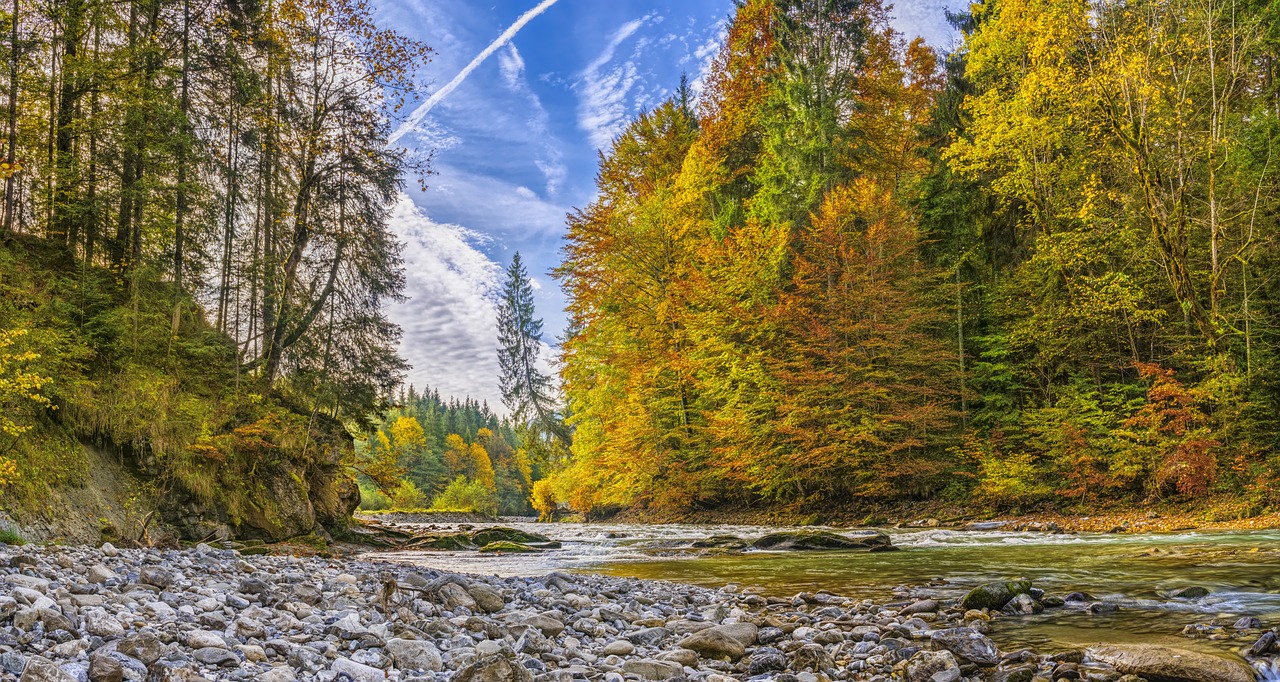 Frankreich: Forellenfischer besorgt über niedrige Wasserstände in Bächen und  Flüssen