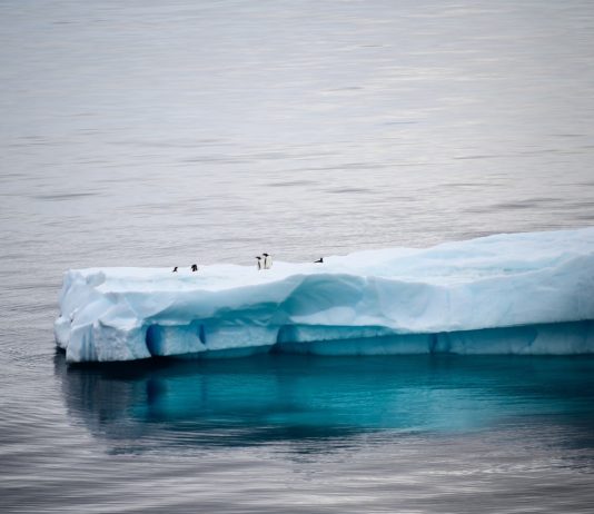 Globale Erwärmung: Die Arktis könnte schon 2030 im Sommer ohne Meereis sein Antarktis