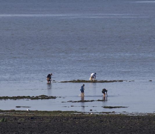 Drogen: Zwei Tonnen Kokain an den Stränden des Cotentin gefunden Muschelfischer