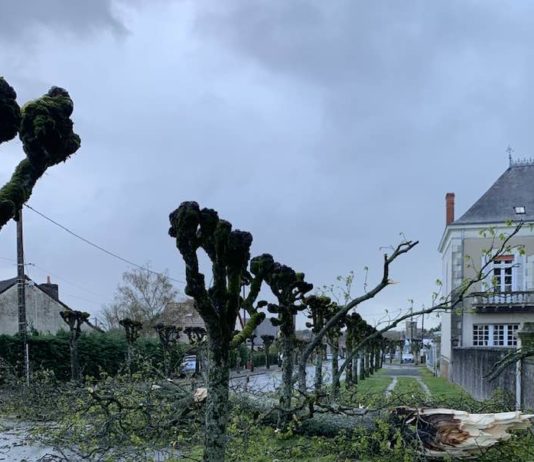 Frankreich: Sturm Mathis fordert zwei Todesopfer in der Region Grand Est Sturmschäden