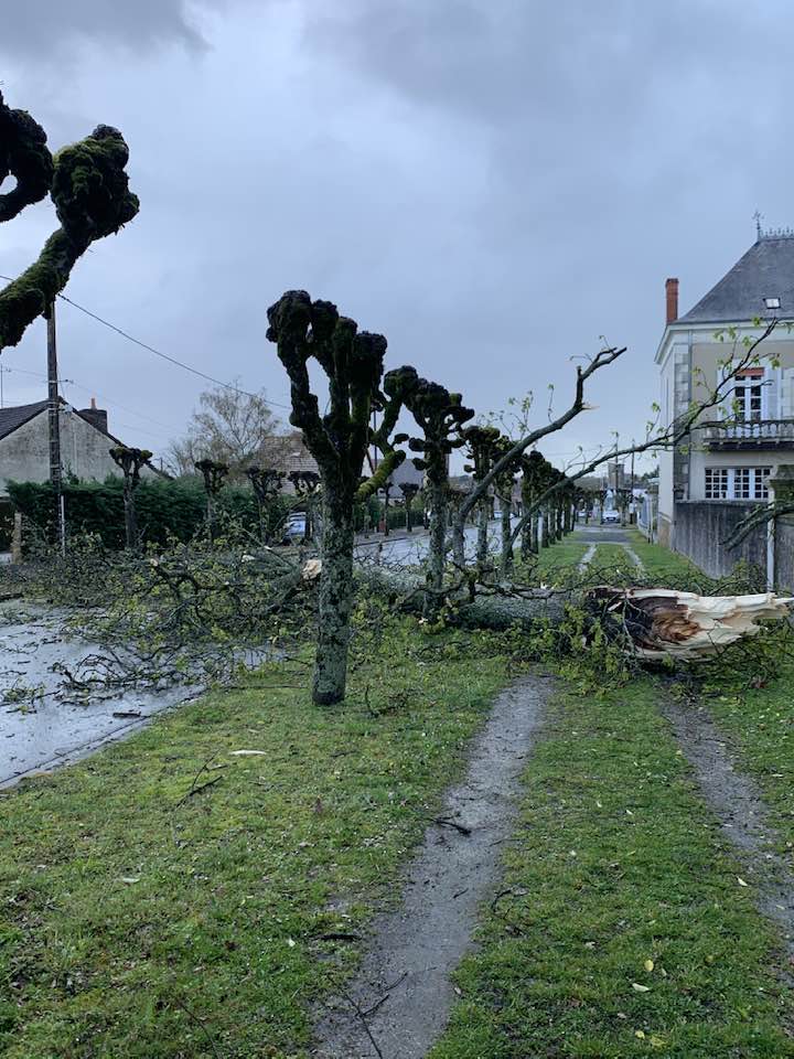 Frankreich: Sturm Mathis fordert zwei Todesopfer in der Region Grand Est