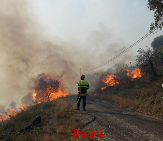 Feuer in den Pyrénées-Orientales: 550 Hektar und ein Haus zerstört – Bewohner flüchten an einen Strand Spanische_Feuerwehr