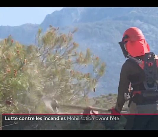 Waldbrände: Die Bewohner der Alpes-Maritimes bereiten sich auf den Sommer vor Waldarbeiter_ScreenF2