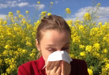 Pollenflug: Halb Frankreich unter Alarmstufe Rot Pollen_Allergie