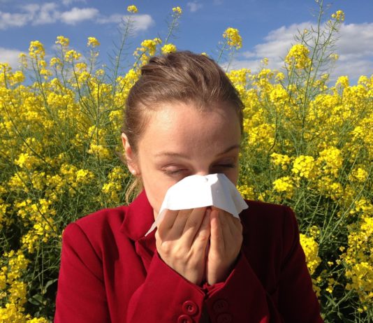 Pollenflug: Halb Frankreich unter Alarmstufe Rot Pollen_Allergie