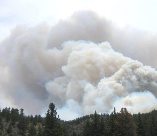 Brände in Kanada: 18 Millionen Hektar Wald gingen während des Sommers in Flammen auf Waldbrand