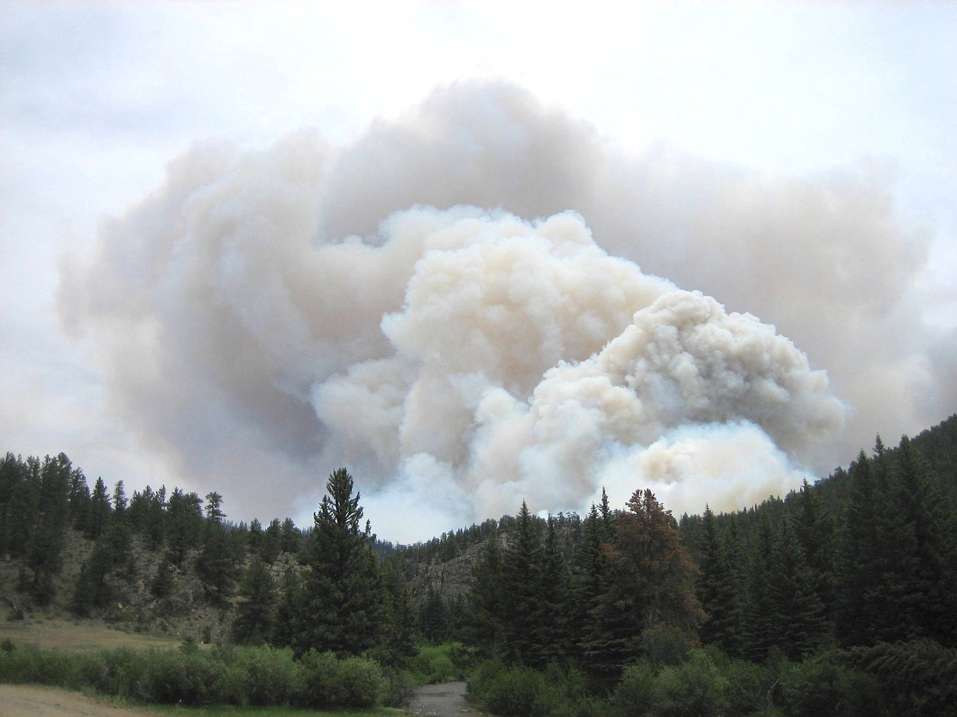 Brände in Kanada: 18 Millionen Hektar Wald gingen während des Sommers in Flammen auf