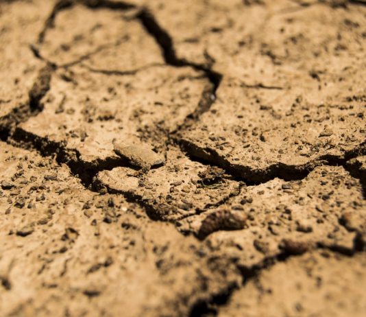 Spanien wird in dieser Woche mit einer historischen Hitzewelle konfrontiert Dürre_Trockenheit