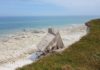 Wenn der Atlantik die Geschichte verschlingt D-Day-Bunker