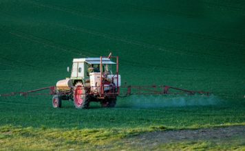 Rückkehr der verbotenen Gifte? Frankreichs Landwirtschaftspolitik ringt erneut um den Einsatz von Neonicotinoiden Pestizid_Landwirtschaft