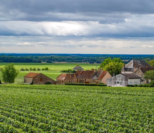 Bourgogne-Franche-Comté: Ein Schmelztiegel der französischen Kultur und Kulinarik Bourgogne-Franche-Comté