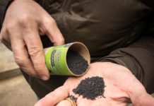 Umwelt: Grüne Biokohle als Rettung des Planeten? Biokohle_Wiki