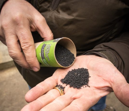 Umwelt: Grüne Biokohle als Rettung des Planeten? Biokohle_Wiki