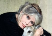 Brigitte Bardot ist tot – das Ende einer Ikone, die Frankreich veränderte Brigitte_Bardot