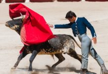 Südwesten: Gericht stoppt Wiederaufleben der Stierkämpfe in der Nähe von Montpellier Stierkampf