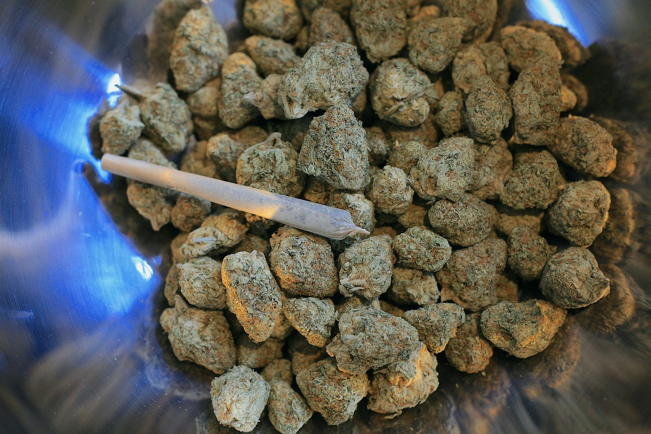Polizei beschlagnahmt 485 kg Cannabis im Kofferraum zweier Autos in Avignon