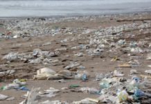 Plastik-Konferenz in Busan: Ein Rückschlag im Kampf gegen die Plastikflut Plastikmüll_Strand