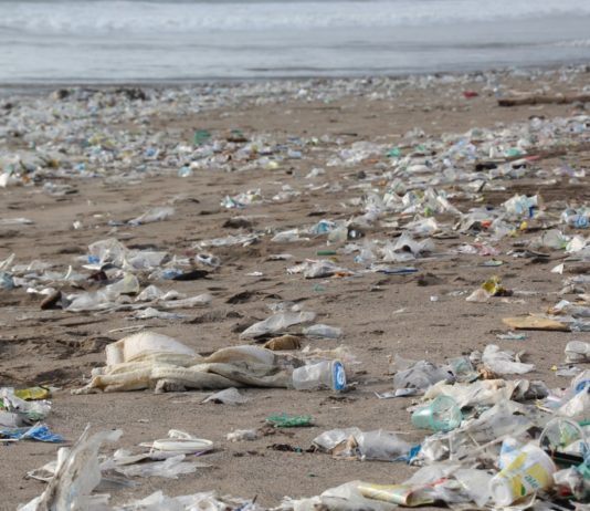 Plastikverschmutzung bis 2040 beenden – 175 Nationen treffen sich in Paris Plastikmüll_Strand