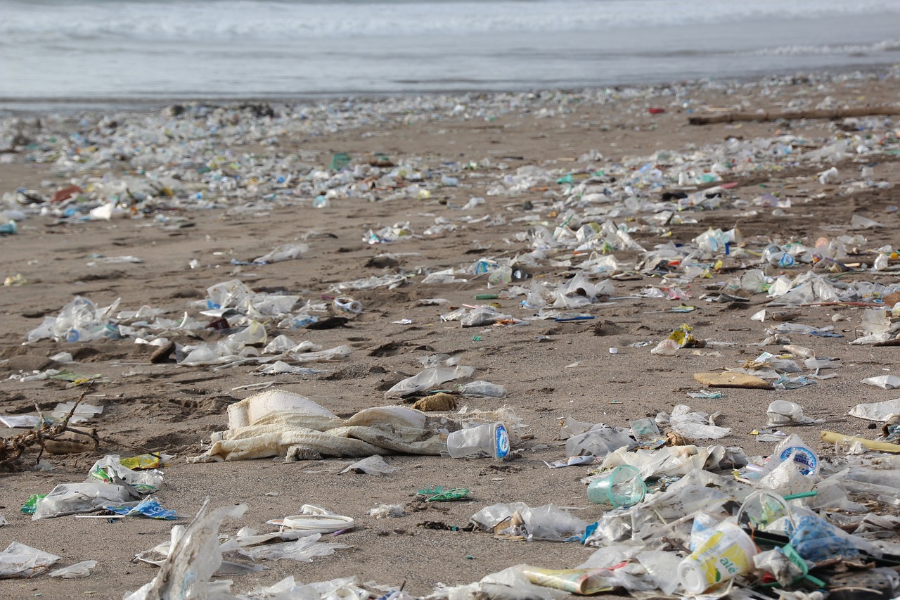 Plastikverschmutzung bis 2040 beenden - 175 Nationen treffen sich in Paris