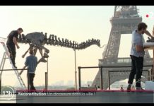 Paris: Dinosaurierskelett mitten in der Stadt ausgestellt Dino_Paris_ScreenF2