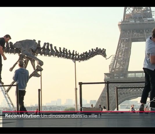 Paris: Dinosaurierskelett mitten in der Stadt ausgestellt Dino_Paris_ScreenF2