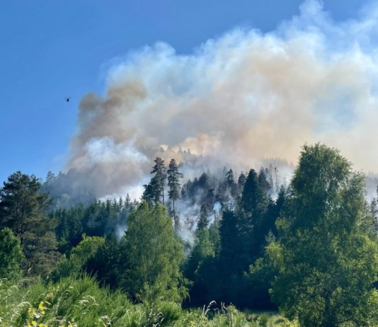 Vogesen: Brand zerstört 30 Hektar Wald in der Nähe von Épinal Waldbrand_bei_Epinal