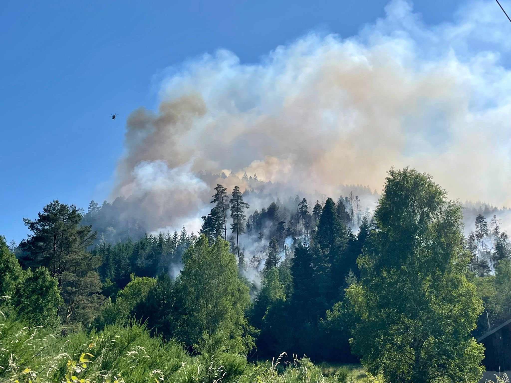Vogesen: Brand zerstört 30 Hektar Wald in der Nähe von Épinal