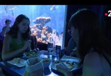 Immersive Restaurants: Das Rezept hinter dem Erfolg dieses Konzepts Immersive_Restaurant_ScreenF2