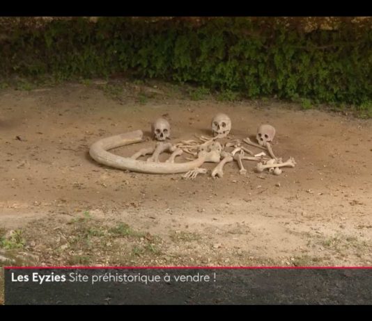 Dordogne: zwei prähistorische Stätten für 2.200.000 Euro zu verkaufen Praehistoriser_Ort_zu_verkaufen_ScreenF2