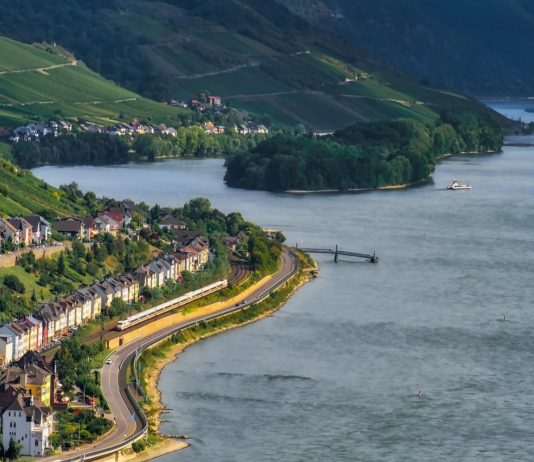 Umwelt: Endlich wieder Lachse im Rhein Rhein_Rheintal