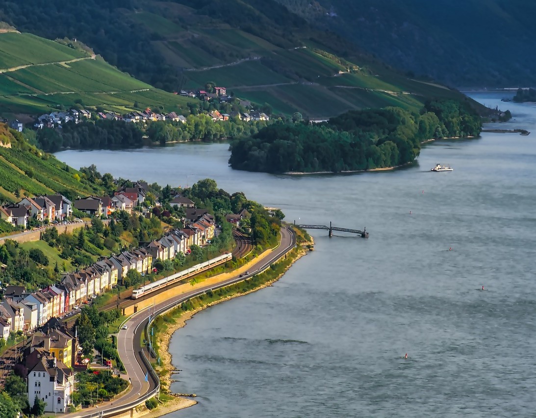 Umwelt: Endlich wieder Lachse im Rhein