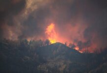 Feuer im Süden Frankreichs – Zwei Waldbrände erschütterten Castellar und den Gard Waldbrand