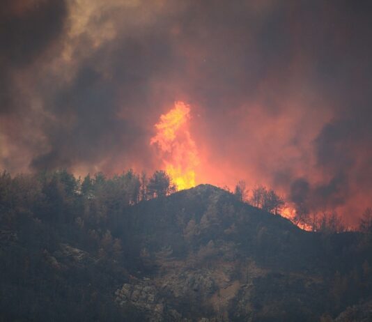 Waldbrände in Spanien: Evakuierungen – zu hohe Temperaturen bedrohen den Südosten Waldbrand