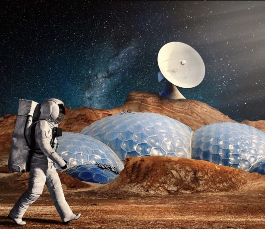 Simulation einer Reise zum Mars: In Toulouse verbringen Freiwillige zwei Monate lang im Liegen Reise_zum_Mars