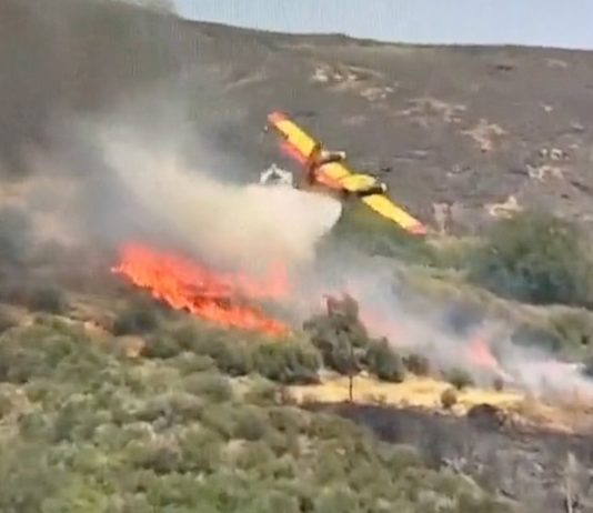 Absturz eines Löschflugzeugs in Griechenland: Beide Piloten sind tot Absturz_Canadair_Griechenland_ScreenTW