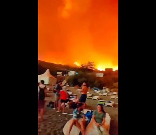 Algerien: 43 Menschen sind bereits in diesem Sommer bei Bränden ums Leben gekommen Braende_Algerien