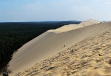 Wenn der Sand zurückkehrt – die stille Rettung der Dune du Pilat Duene_von_Pilat