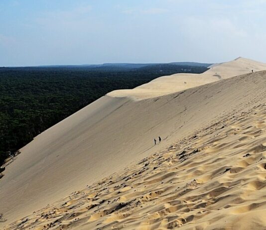 Wenn der Sand zurückkehrt – die stille Rettung der Dune du Pilat Duene_von_Pilat