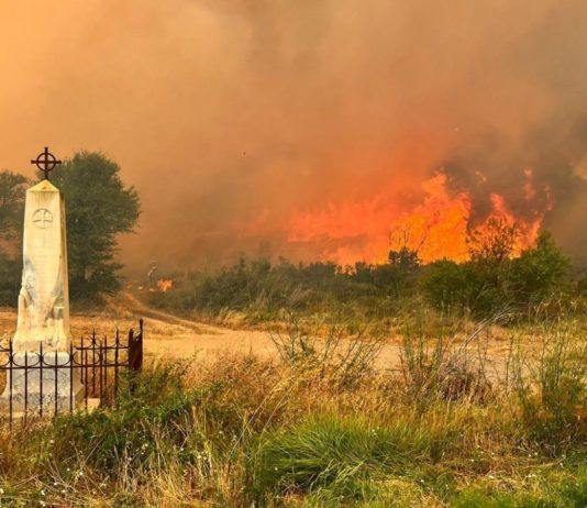 Aude: 130 Hektar verbrannt und 4 Feuerwehrleute verletzt – Bilanz des ersten Brandes nach Sommerbeginn Feuer_Aude_Twitter_SDIS11