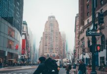 „Beeindruckend, unangenehm und ungewöhnlich“: Insektenschwärme fallen in New York ein New-York