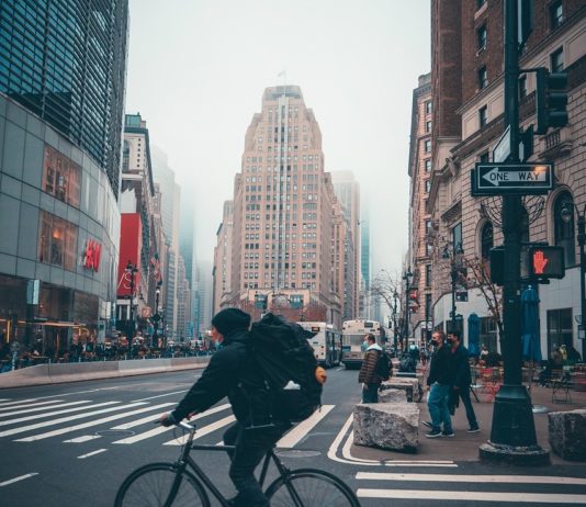 „Beeindruckend, unangenehm und ungewöhnlich“: Insektenschwärme fallen in New York ein New-York