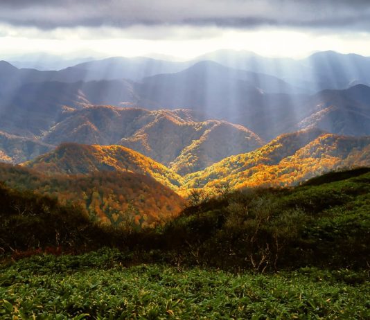 Wetter: Ein August wie im Oktober? Temperaturen in Frankreich sollen ab nächster Woche sinken Herbstwetter