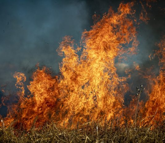 Meteo-France warnt vor „sehr hoher“ Brandgefahr in den Bouches-du-Rhône – höchste Gefahrenstufe Vegetationsbrand
