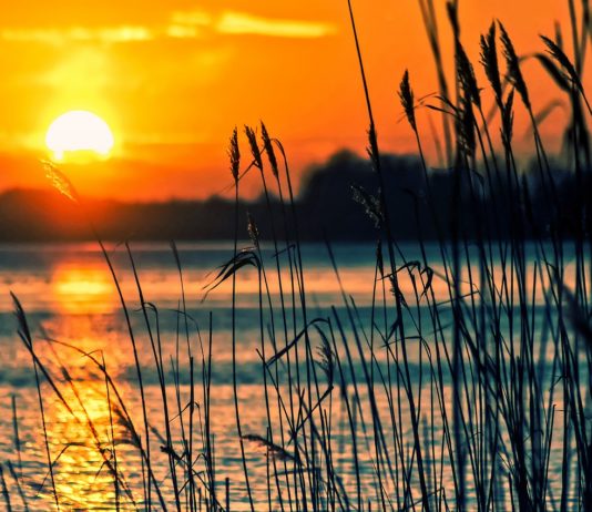 Teenager nach 45 Minuten unter Wasser wieder reanimiert See_Sonnenuntergang