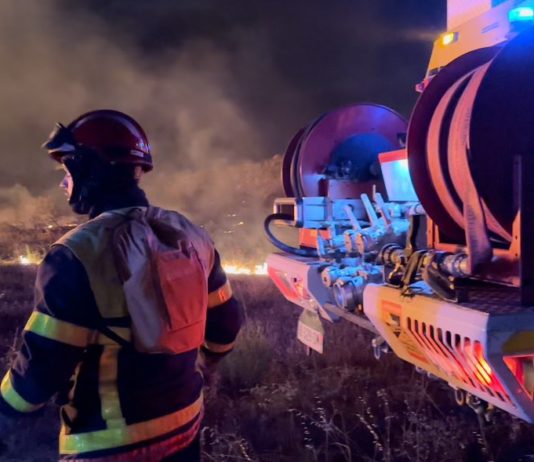 Pyrénées-Orientales: Feuer vernichtet mindestens 55 Hektar in der Region Ille-sur-Têt Waldbrand