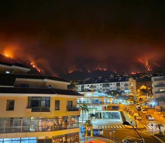 Spanien: Feuer auf Teneriffa laut der Behörden unter Kontrolle – 15.000 Hektar Vegetation zerstört Feuer_auf_Teneriffa_Twitter