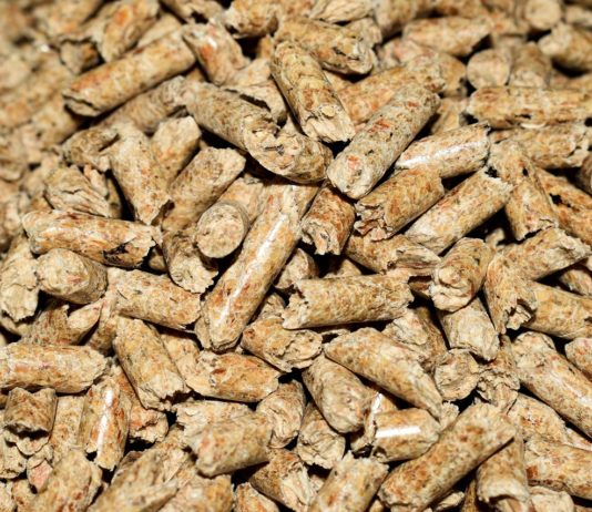 Ist jetzt die richtige Zeit für den Einkauf von Pellets oder Heizöl für den Winter? Heizung_Pellets