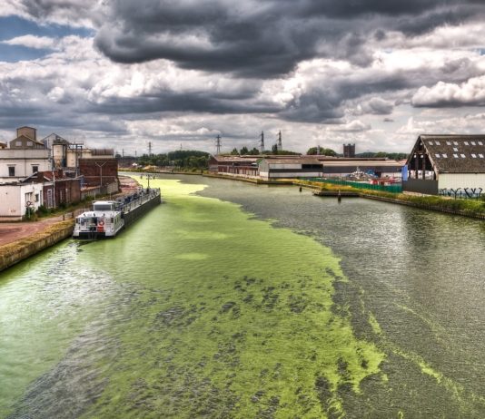 Lille: Leiche eines 20-Jährigen vier Tage nach seinem Verschwinden im Fluss Deûle entdeckt peniche-1872047_1280