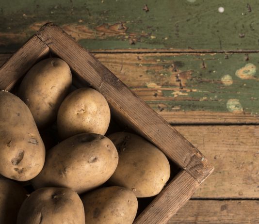 Kartoffeln: Warum die Preise in Frankreich seit einem Jahr Monat für Monat in die Höhe schnellen Kartoffel