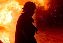 Portugal in Flammen – Wenn der Sommer zur Bedrohung wird Illustration_Waldbrand_Feuer